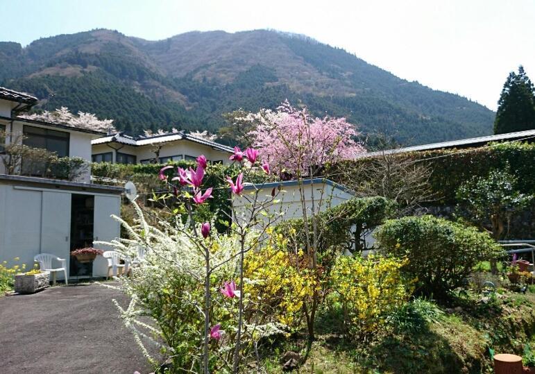 湯布院月灯り Hotel Yufu Buitenkant foto